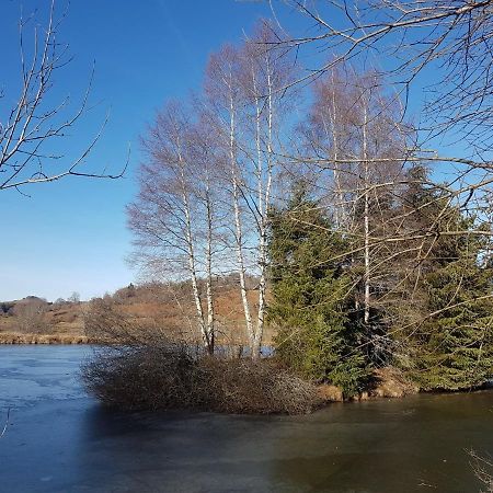 Fermette Typique Auvergnate Dans Son Ecrin D'Eau Et De Verdure Saint-Donat エクステリア 写真