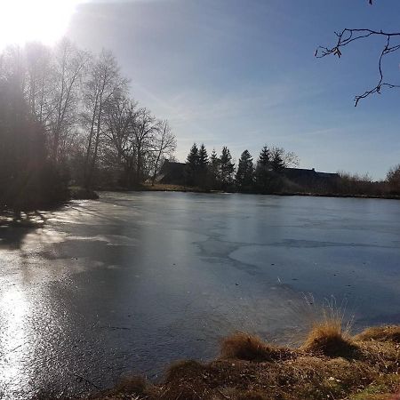 Fermette Typique Auvergnate Dans Son Ecrin D'Eau Et De Verdure Saint-Donat エクステリア 写真