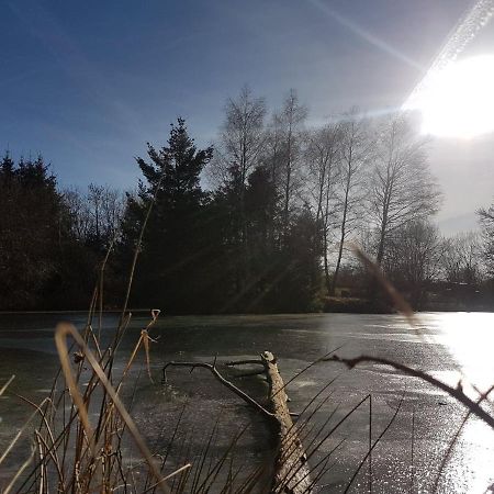 Fermette Typique Auvergnate Dans Son Ecrin D'Eau Et De Verdure Saint-Donat エクステリア 写真