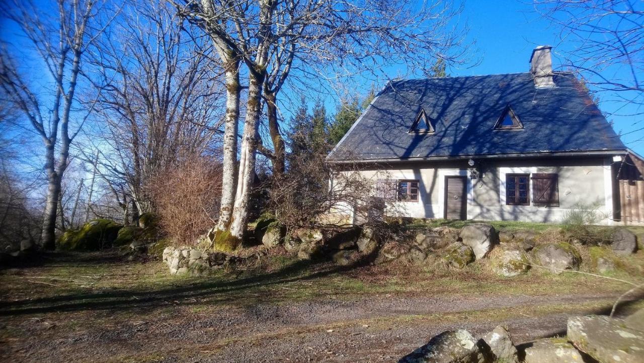 Fermette Typique Auvergnate Dans Son Ecrin D'Eau Et De Verdure Saint-Donat エクステリア 写真