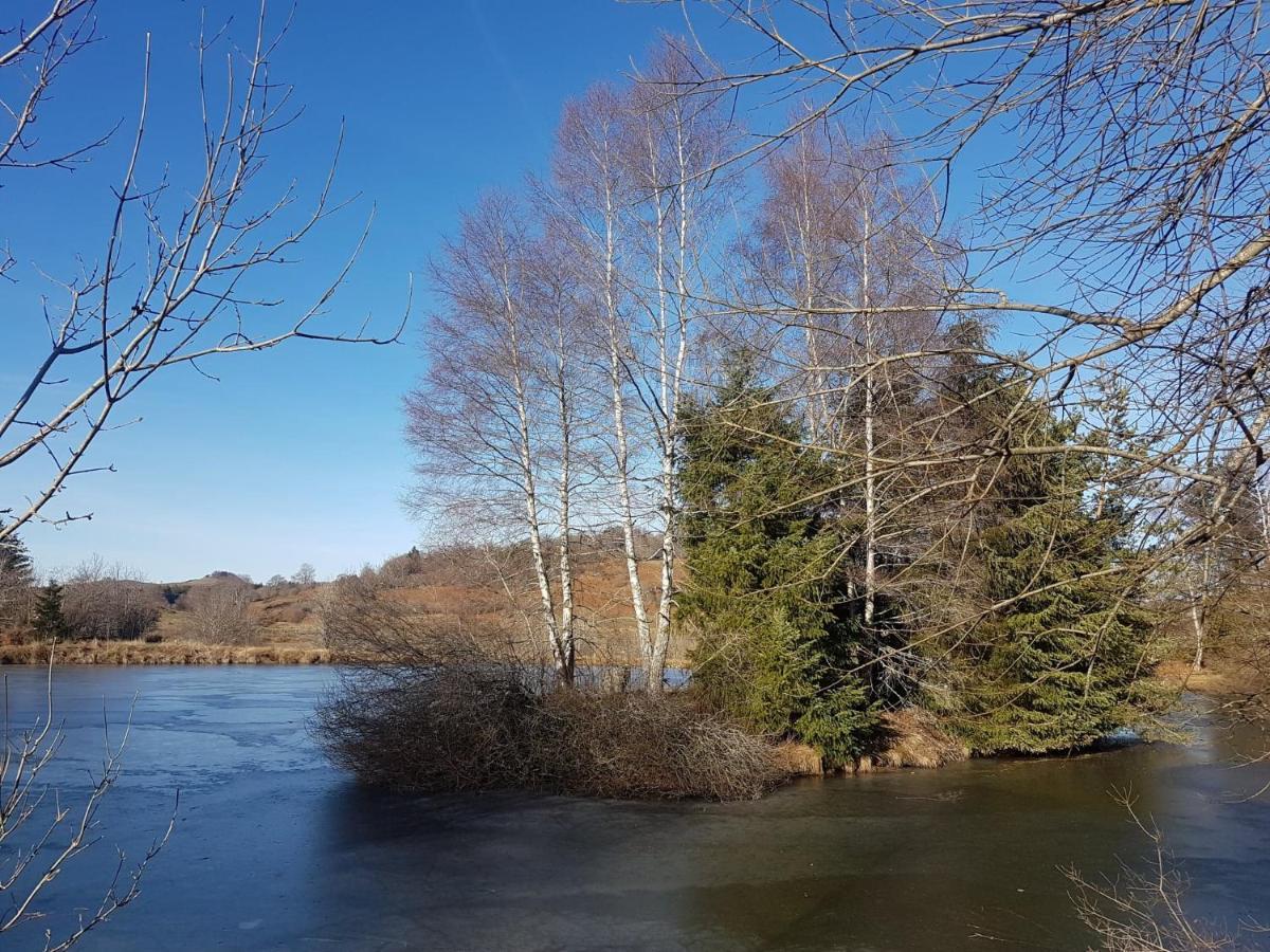 Fermette Typique Auvergnate Dans Son Ecrin D'Eau Et De Verdure Saint-Donat エクステリア 写真