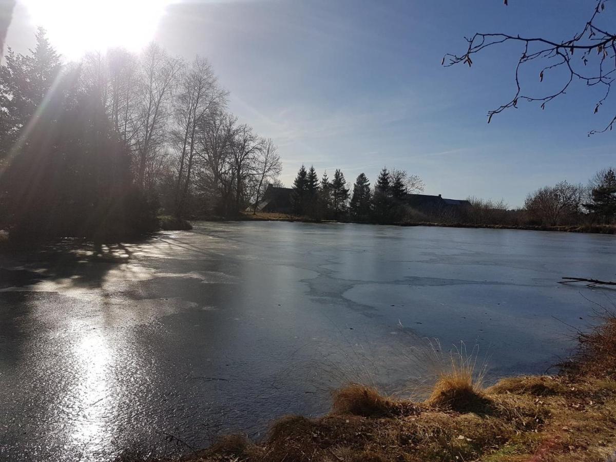 Fermette Typique Auvergnate Dans Son Ecrin D'Eau Et De Verdure Saint-Donat エクステリア 写真