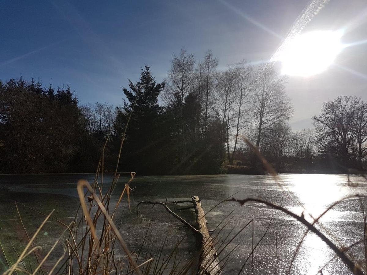 Fermette Typique Auvergnate Dans Son Ecrin D'Eau Et De Verdure Saint-Donat エクステリア 写真