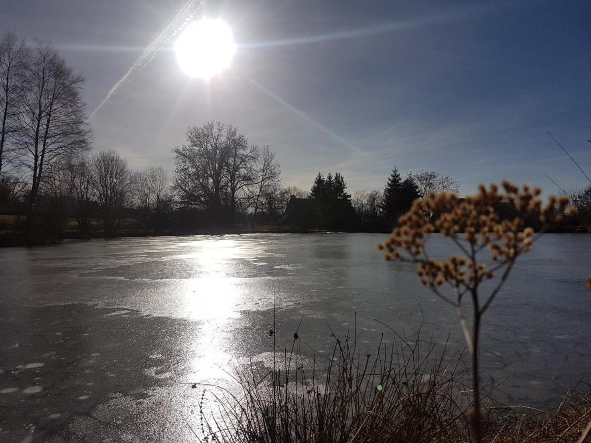 Fermette Typique Auvergnate Dans Son Ecrin D'Eau Et De Verdure Saint-Donat エクステリア 写真